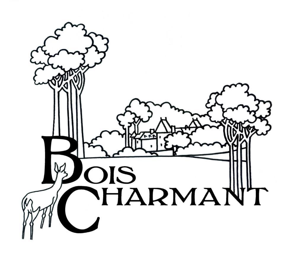 Les Nouillers Chateau De Bois Charmant מראה חיצוני תמונה