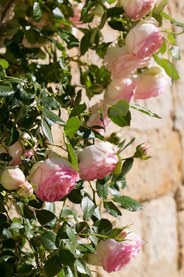 Les Nouillers Chateau De Bois Charmant מראה חיצוני תמונה